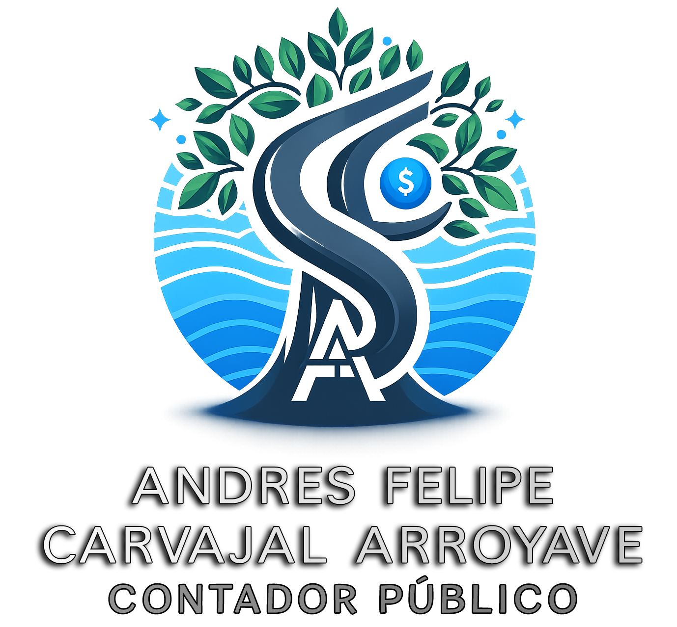 Andres Carvajal Contador Público